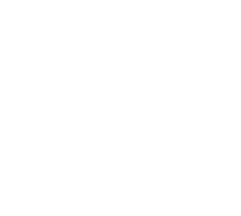 Mesa de trabajo 2 copia 9@4x 8 1