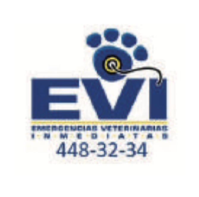 Captura de Pantalla 2022 10 25 a las 17.24.29