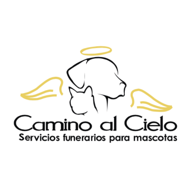 Captura de Pantalla 2022 10 25 a las 17.27.33